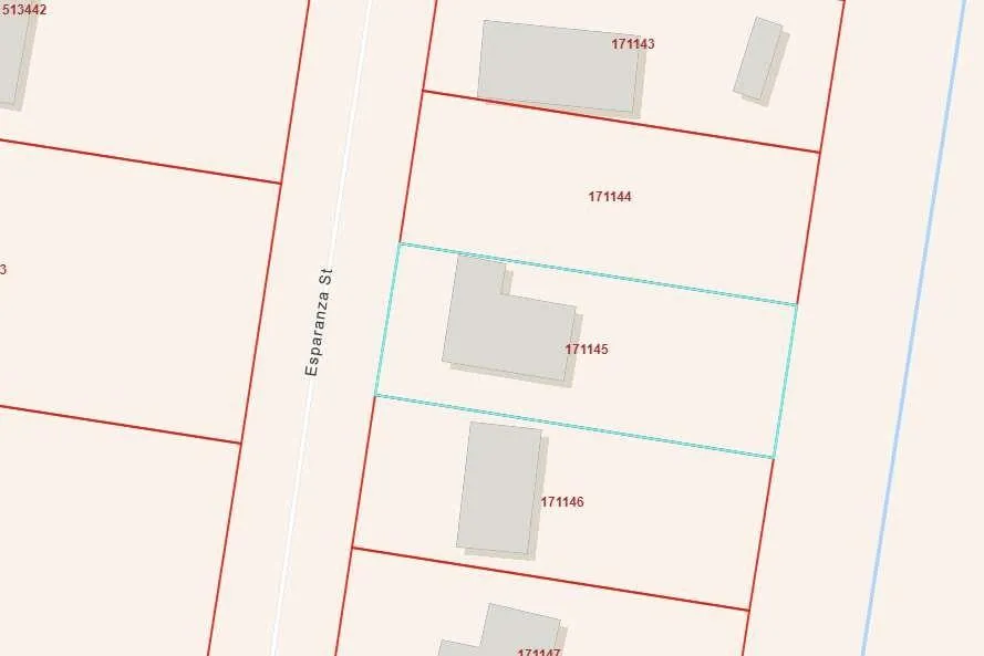 1118 Esparanza Street Alamo, TX 78516