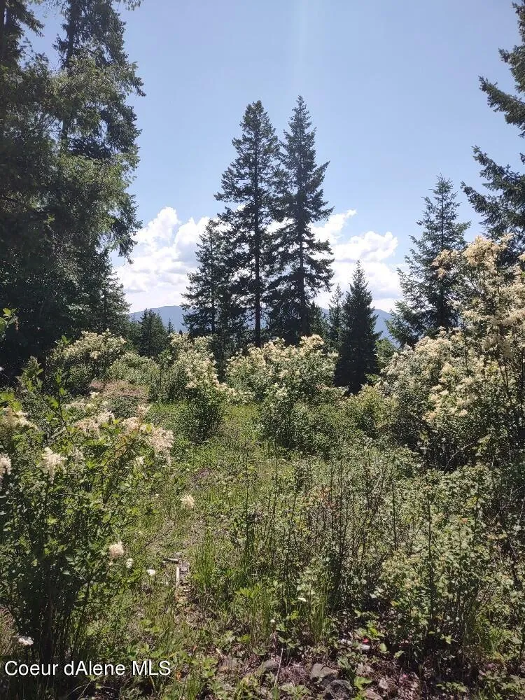 Lot 28 Wood Duck Lane Bonners Ferry, ID 83805