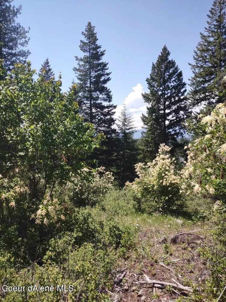 Lot 28 Wood Duck Lane Bonners Ferry, ID 83805