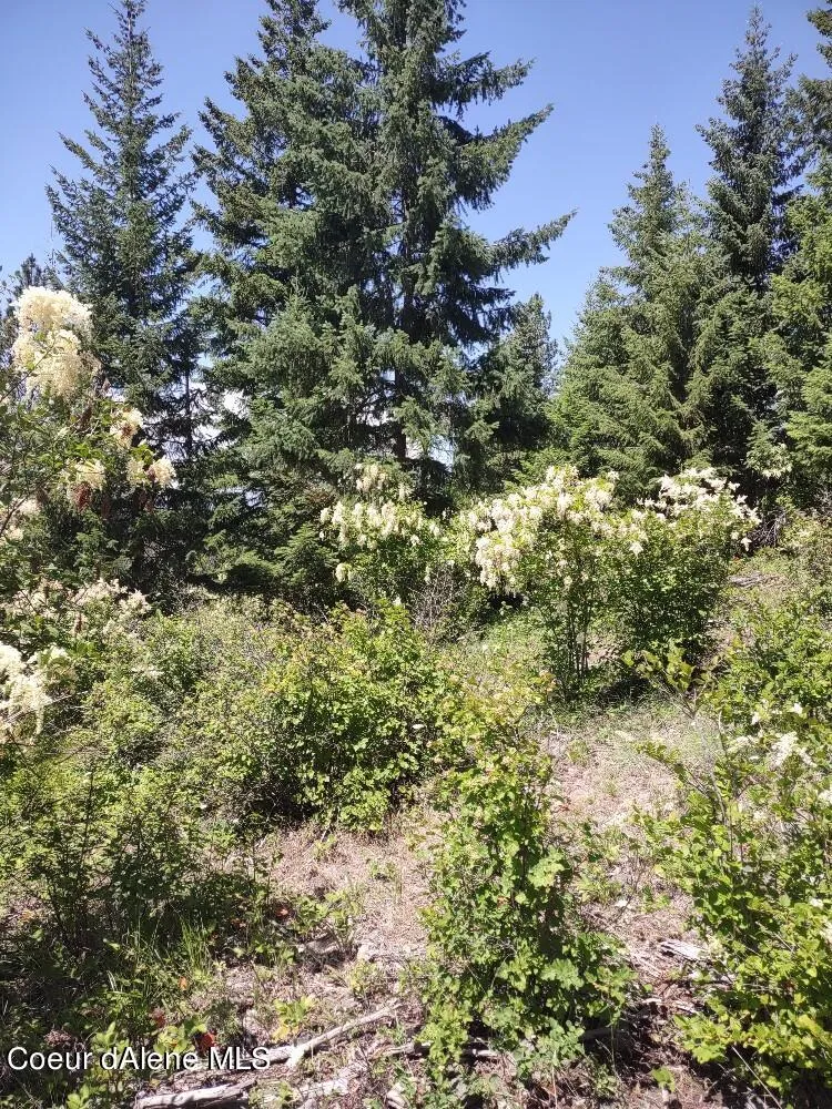 Lot 28 Wood Duck Lane Bonners Ferry, ID 83805
