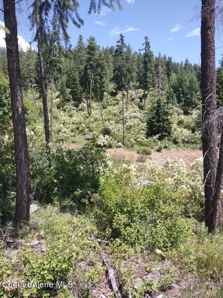 Lot 28 Wood Duck Lane Bonners Ferry, ID 83805
