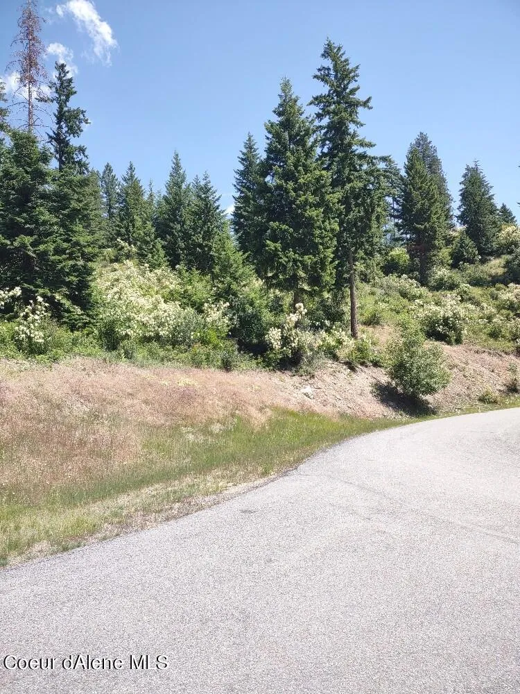 Lot 28 Wood Duck Lane Bonners Ferry, ID 83805