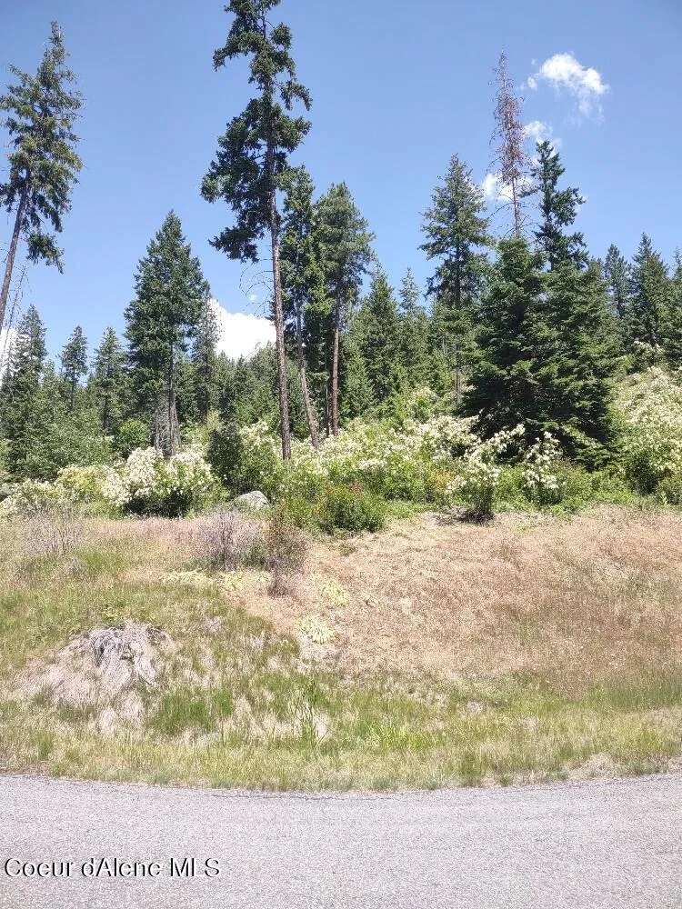 Lot 28 Wood Duck Lane Bonners Ferry, ID 83805