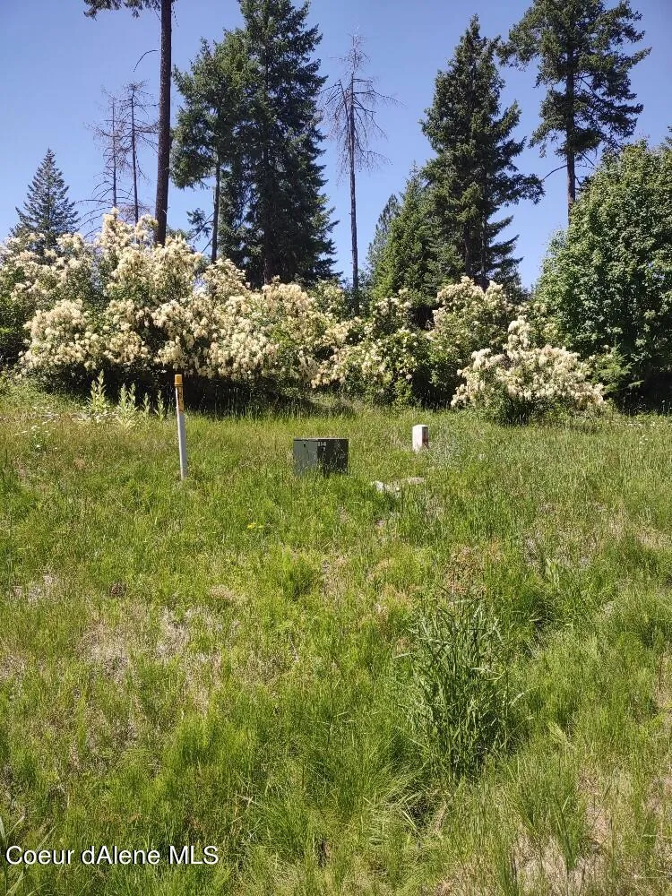 Lot 28 Wood Duck Lane Bonners Ferry, ID 83805