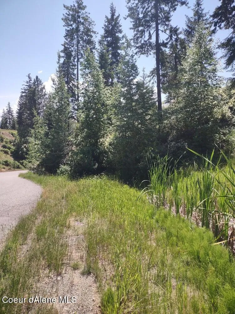 Lot 28 Wood Duck Lane Bonners Ferry, ID 83805