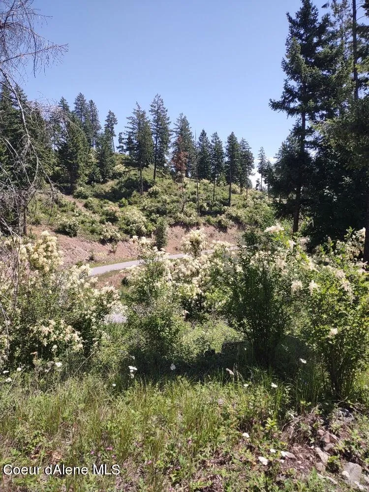 Lot 28 Wood Duck Lane Bonners Ferry, ID 83805
