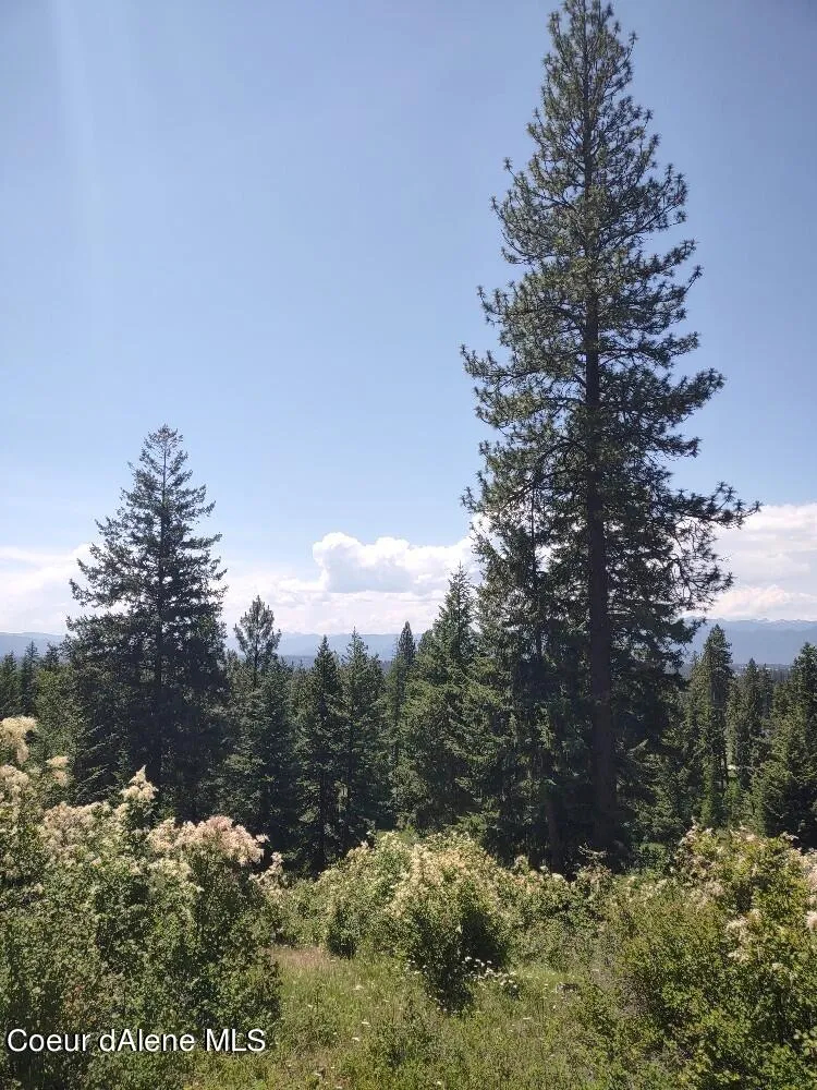 Lot 28 Wood Duck Lane Bonners Ferry, ID 83805