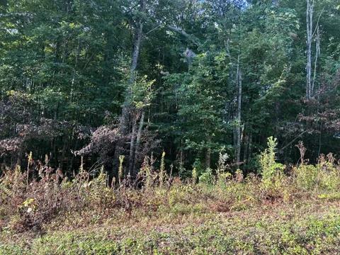 0 Panther Branch Road