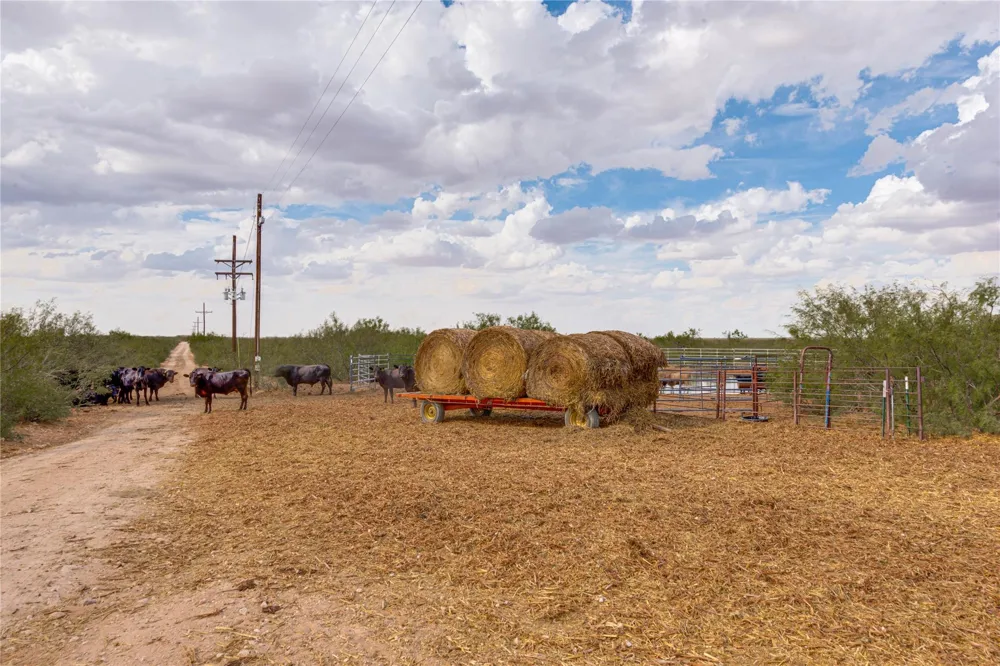 538 Fm 1379 Midland, TX 79706