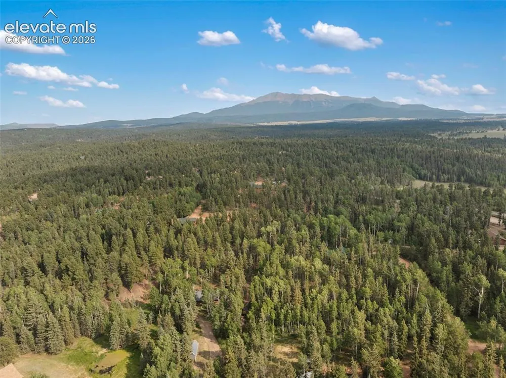 56 Blue Jay Lane Divide, CO 80814