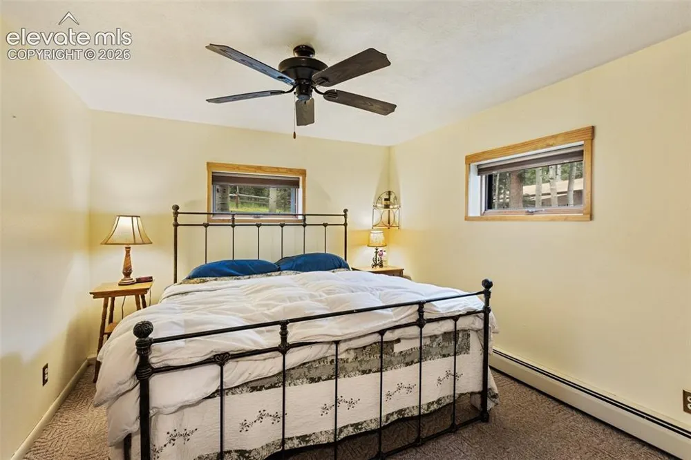 56 Blue Jay Lane Divide, CO 80814