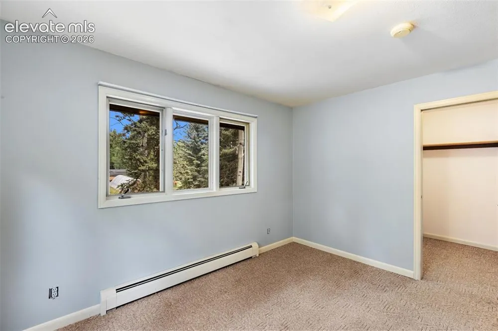 56 Blue Jay Lane Divide, CO 80814