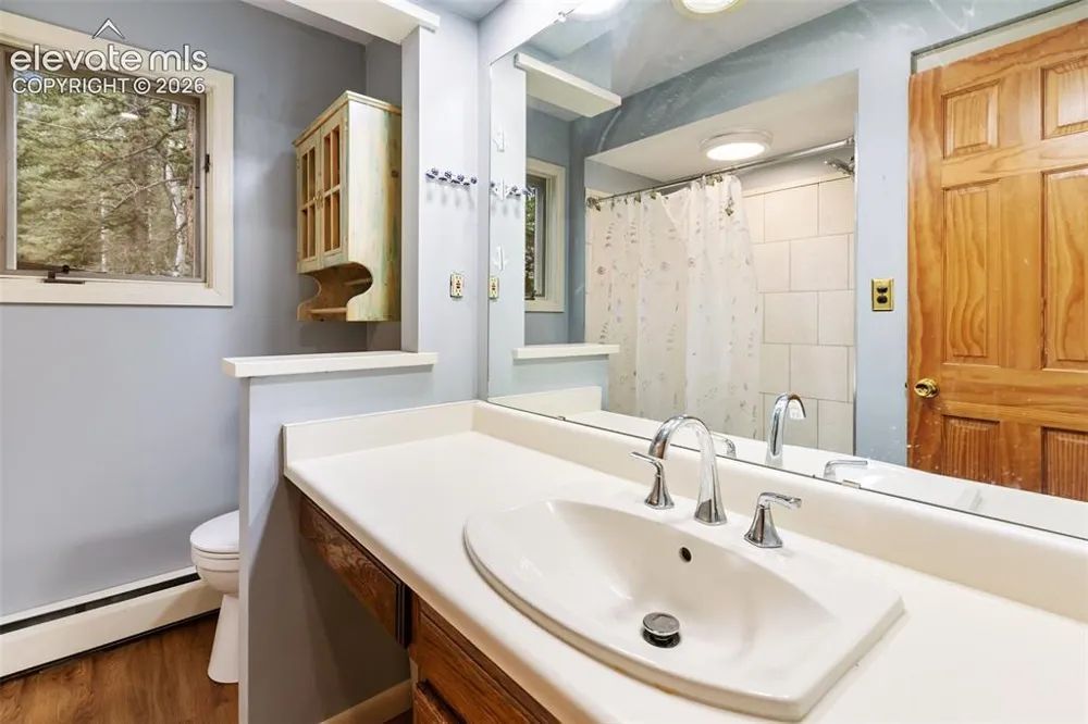 56 Blue Jay Lane Divide, CO 80814