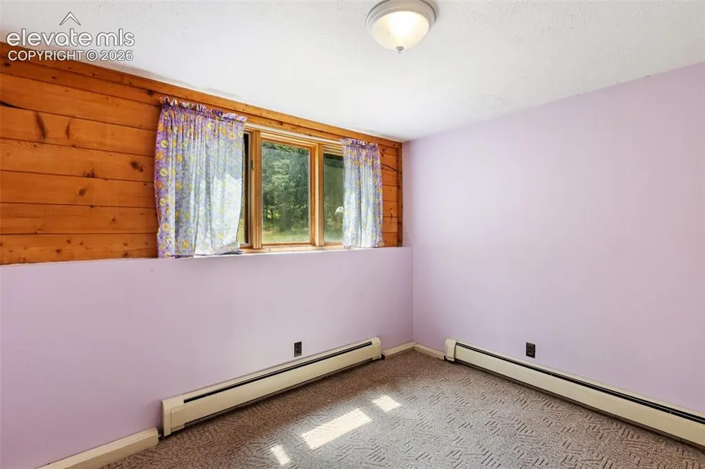 56 Blue Jay Lane Divide, CO 80814