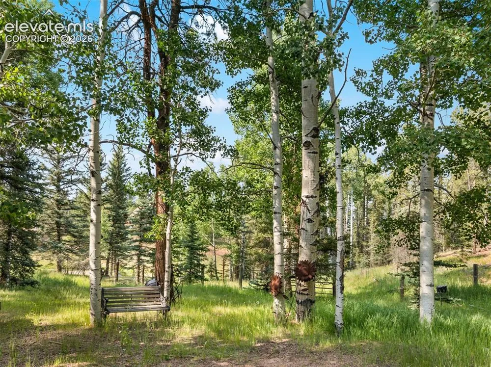 56 Blue Jay Lane Divide, CO 80814