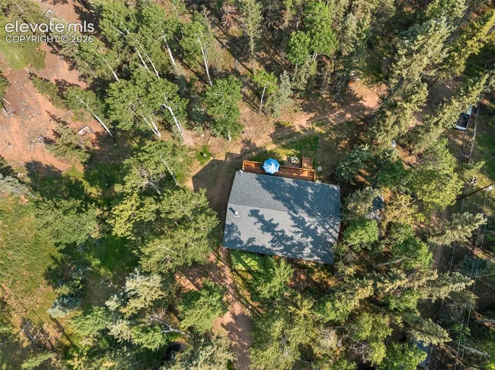 56 Blue Jay Lane Divide, CO 80814