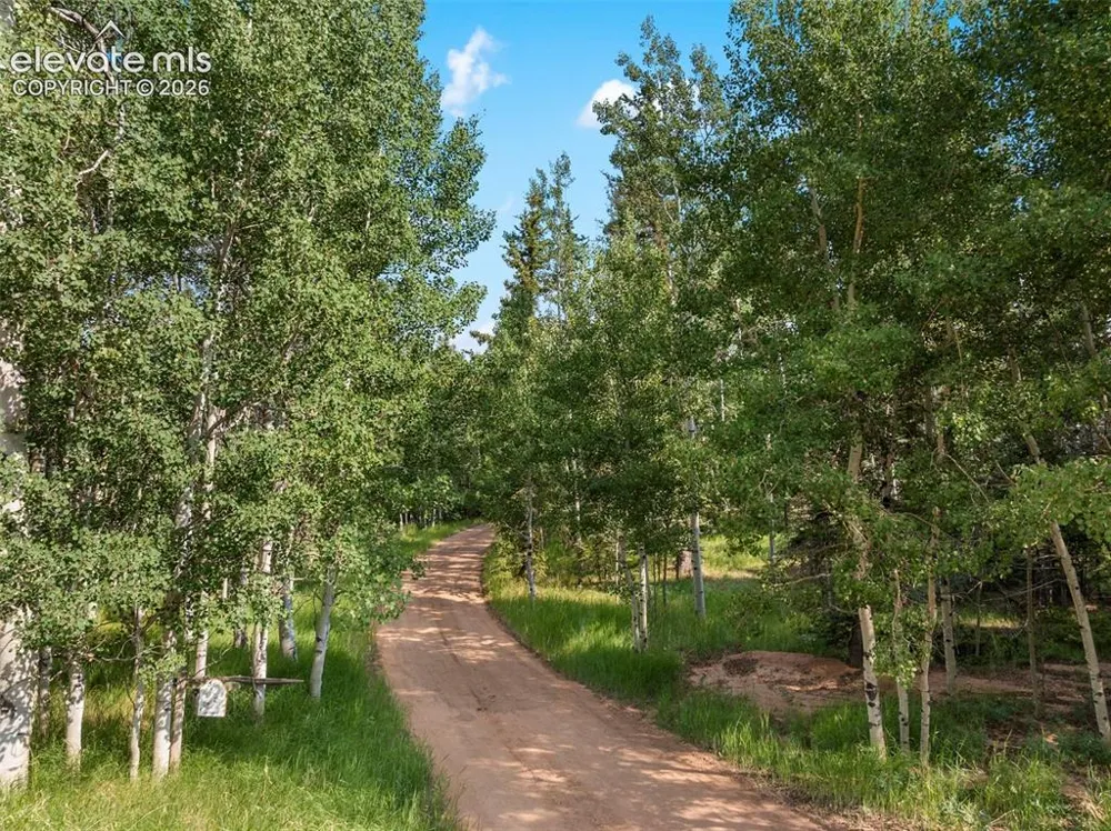 56 Blue Jay Lane Divide, CO 80814