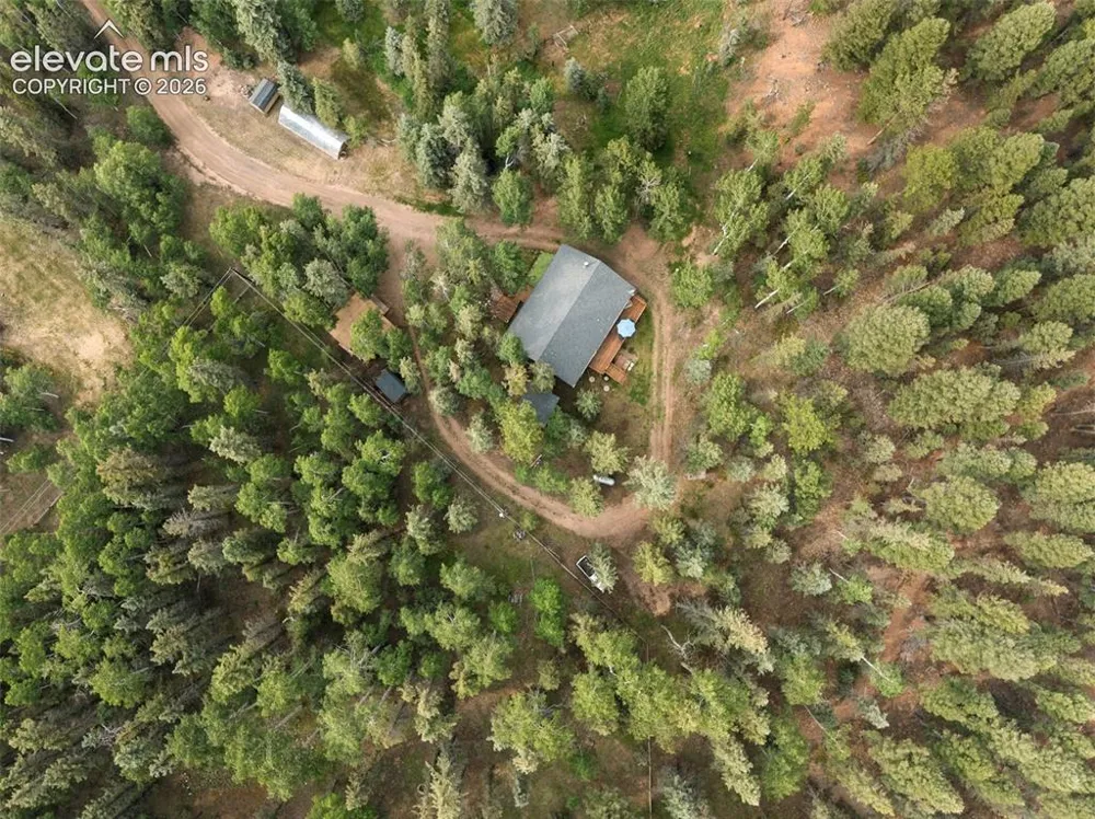 56 Blue Jay Lane Divide, CO 80814