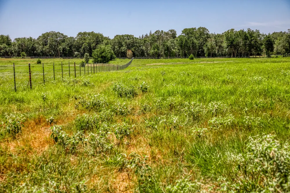 1922 County Road 324 Caldwell, TX 77836