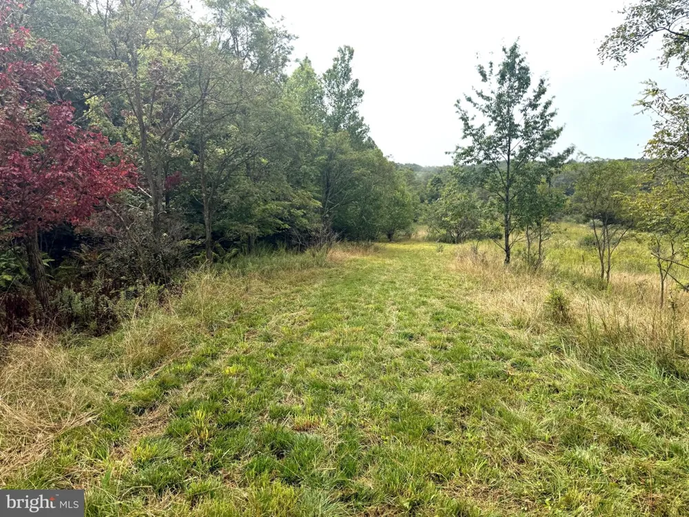 0 PINNACLE ROAD Keyser, WV 26726