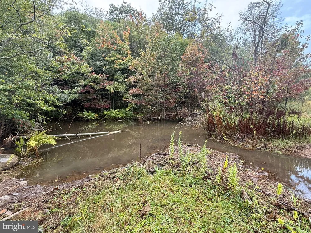 0 PINNACLE ROAD Keyser, WV 26726