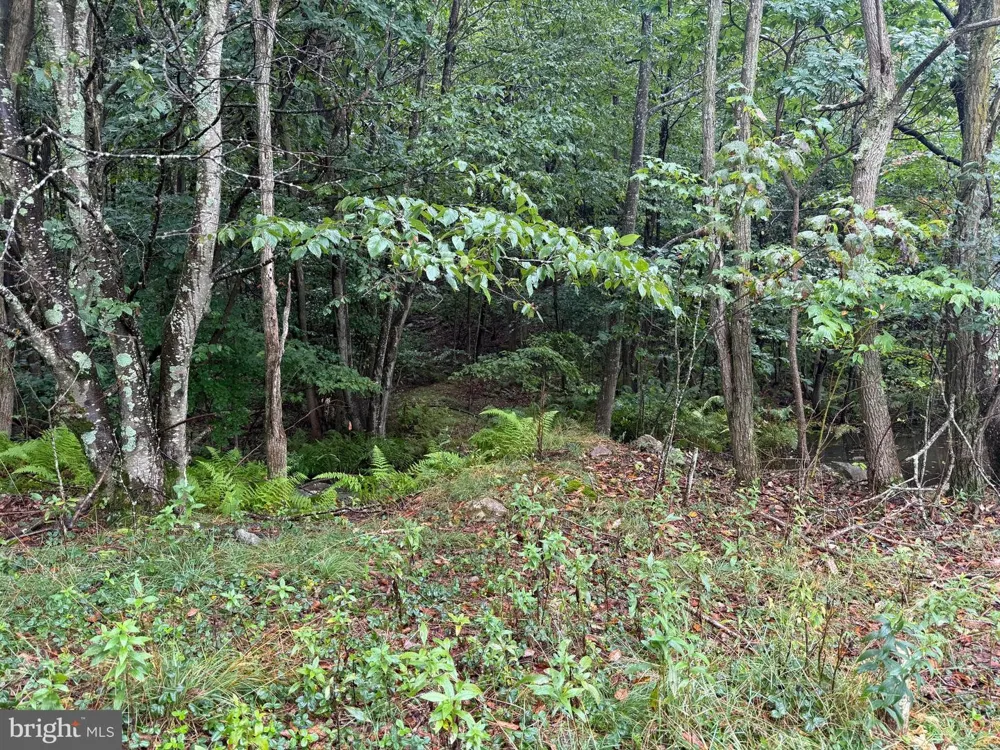 0 PINNACLE ROAD Keyser, WV 26726