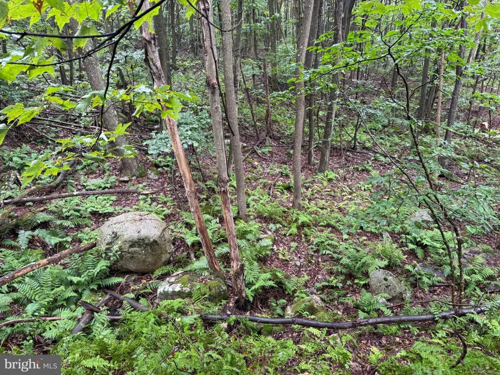 0 PINNACLE ROAD Keyser, WV 26726