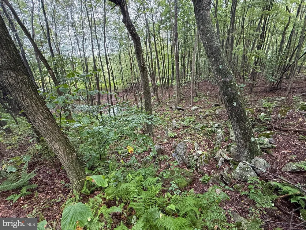 0 PINNACLE ROAD Keyser, WV 26726