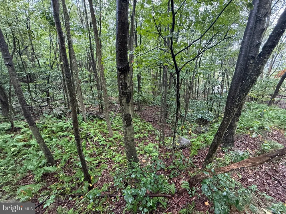 0 PINNACLE ROAD Keyser, WV 26726