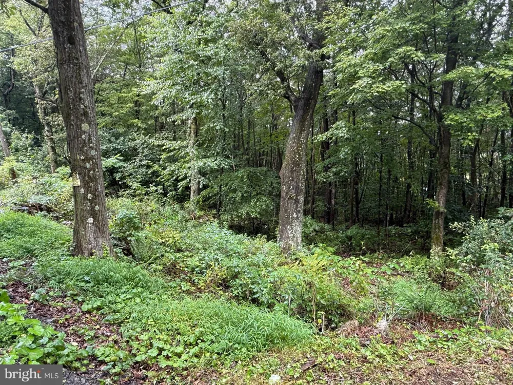 0 PINNACLE ROAD Keyser, WV 26726