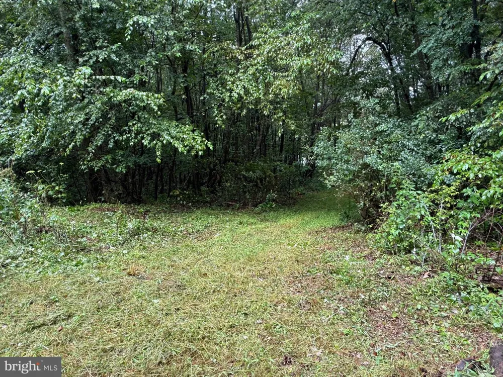 0 PINNACLE ROAD Keyser, WV 26726