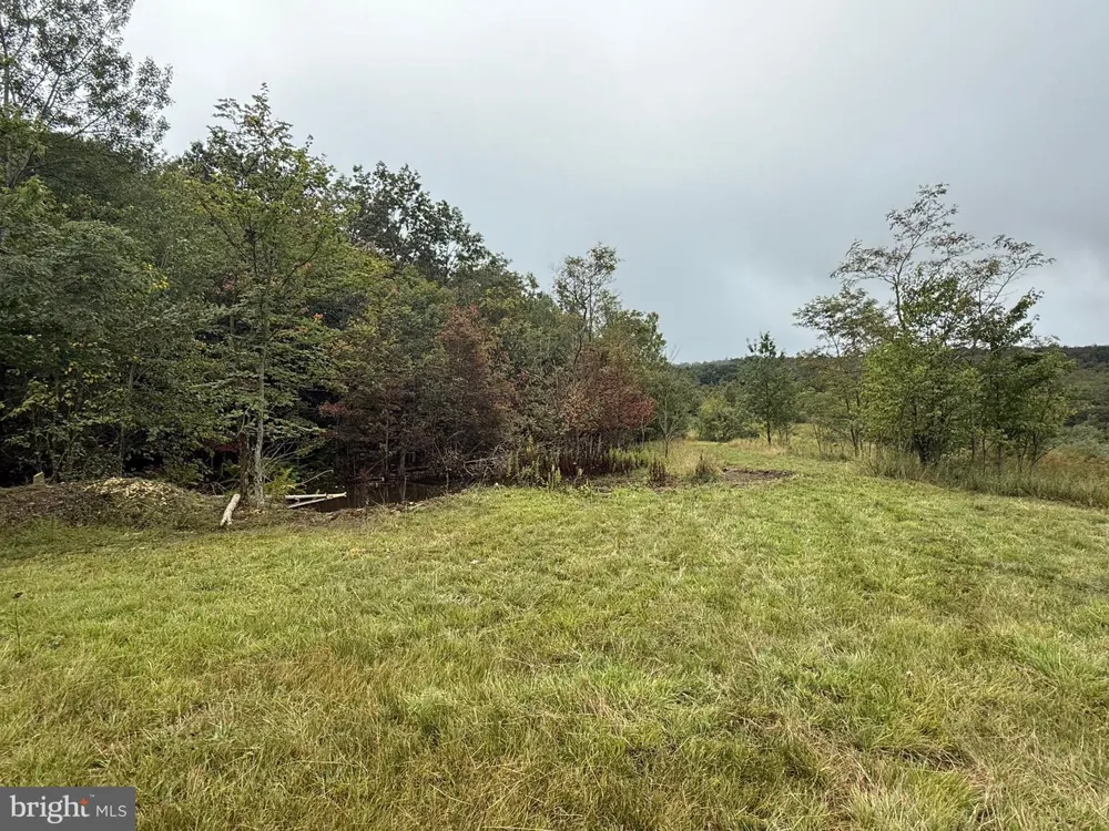 0 PINNACLE ROAD Keyser, WV 26726