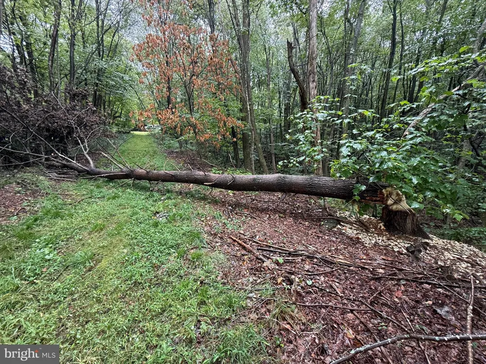 0 PINNACLE ROAD Keyser, WV 26726
