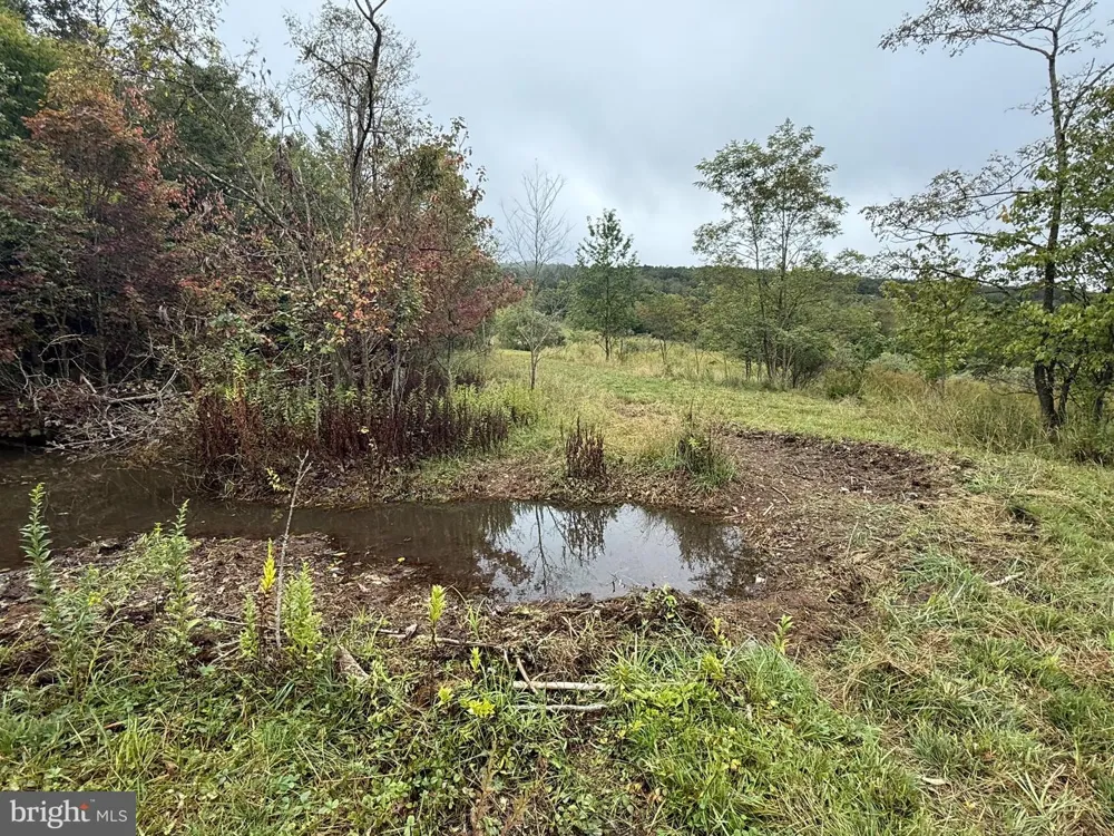 0 PINNACLE ROAD Keyser, WV 26726