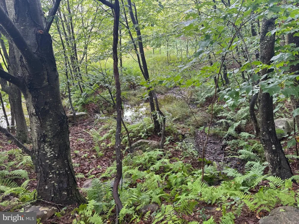 0 PINNACLE ROAD Keyser, WV 26726