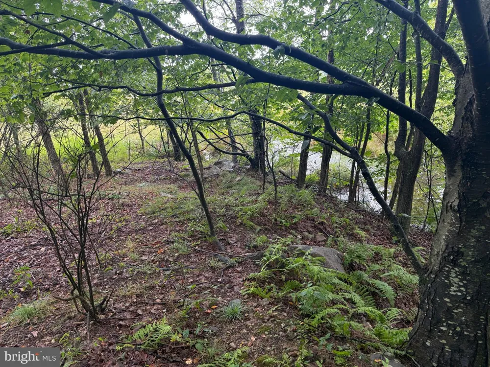 0 PINNACLE ROAD Keyser, WV 26726