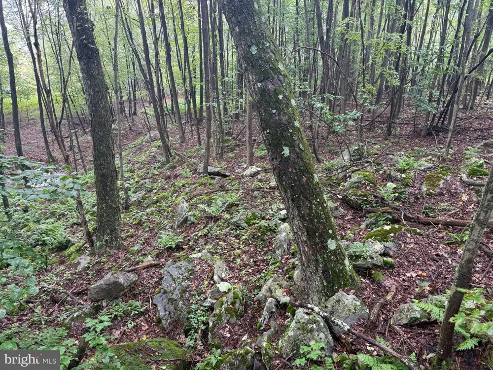 0 PINNACLE ROAD Keyser, WV 26726