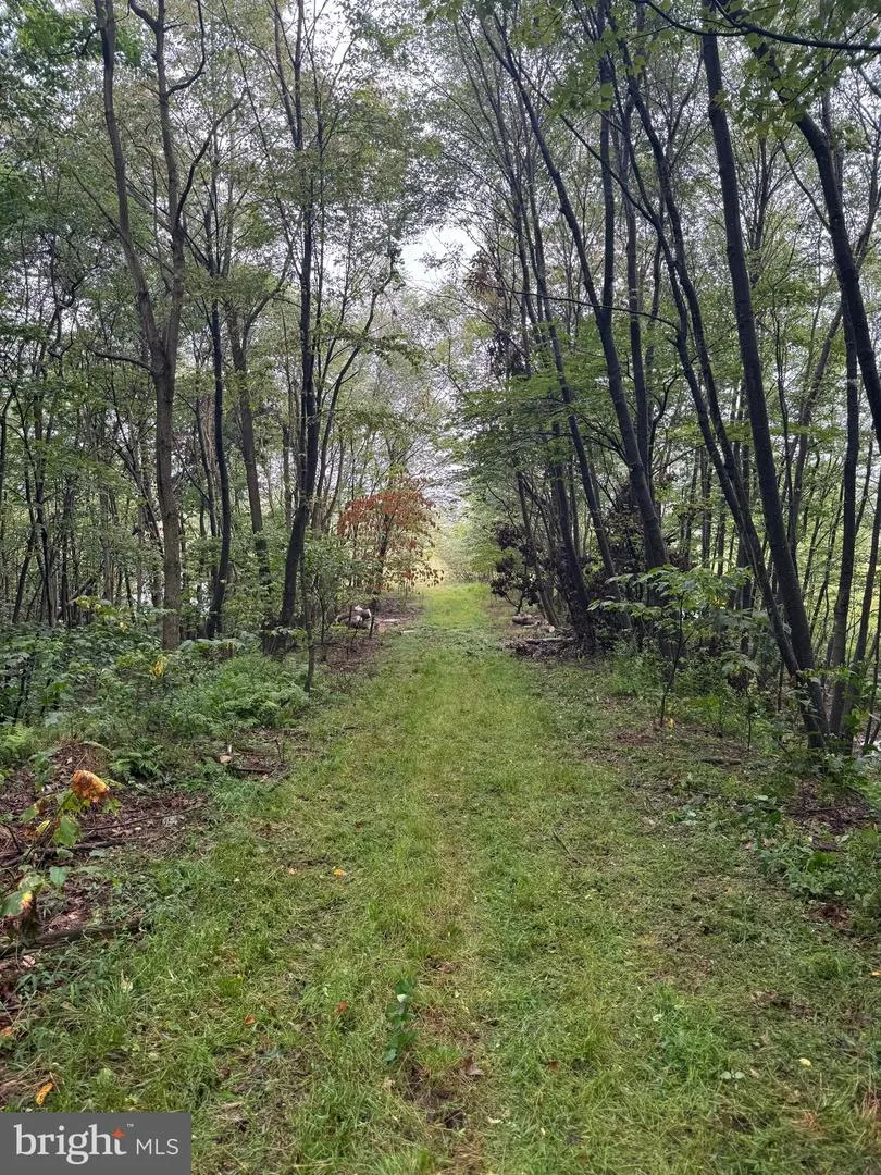 0 PINNACLE ROAD Keyser, WV 26726