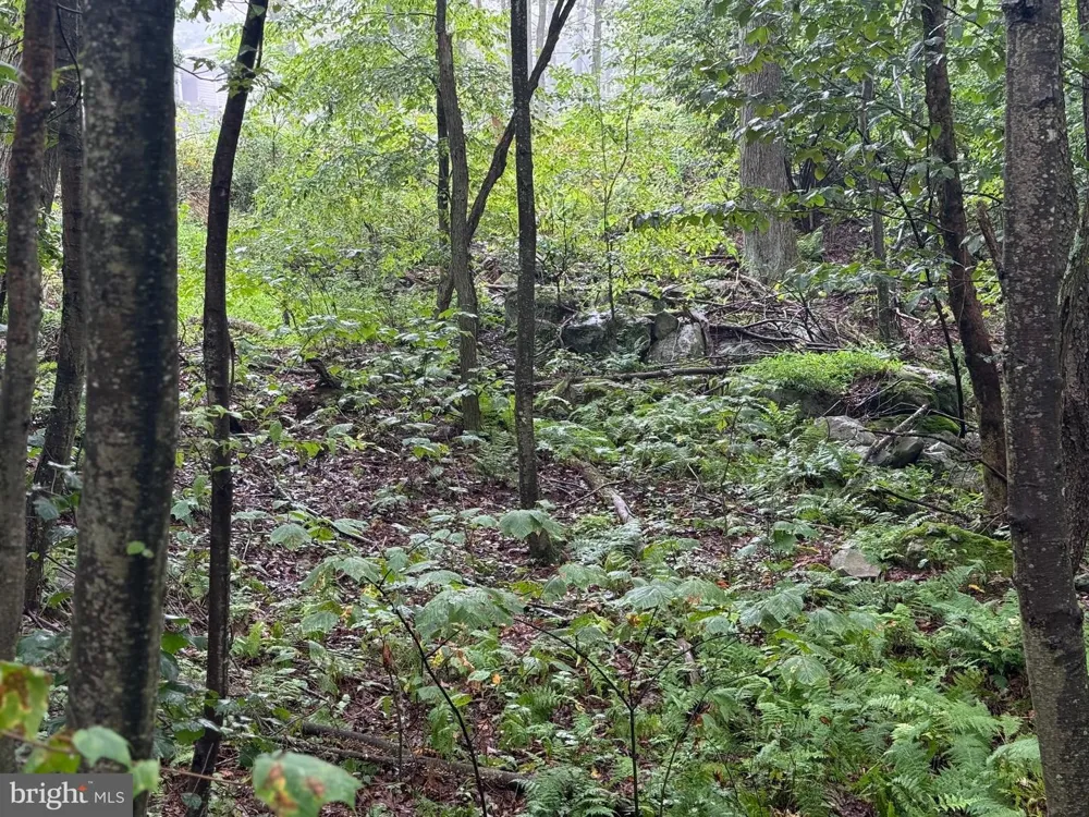 0 PINNACLE ROAD Keyser, WV 26726