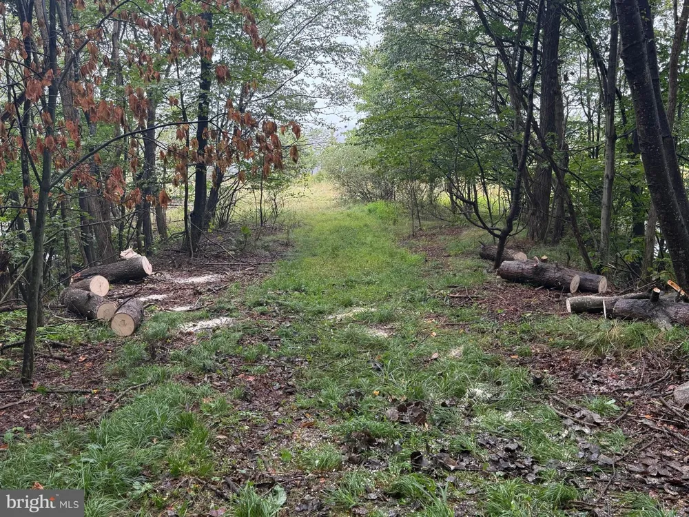 0 PINNACLE ROAD Keyser, WV 26726