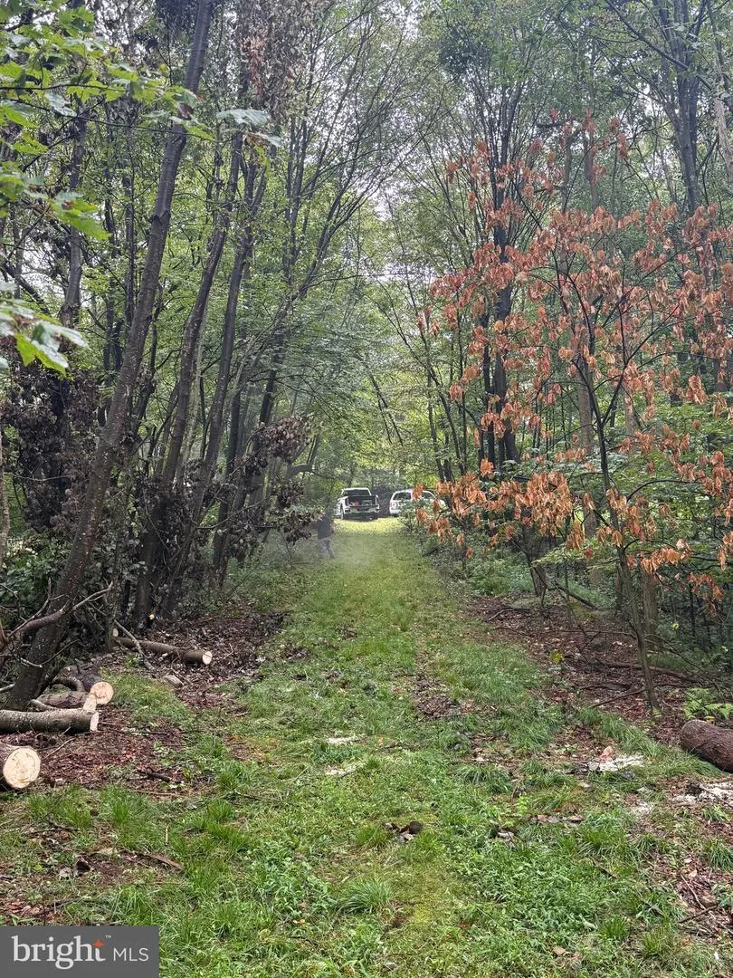 0 PINNACLE ROAD Keyser, WV 26726