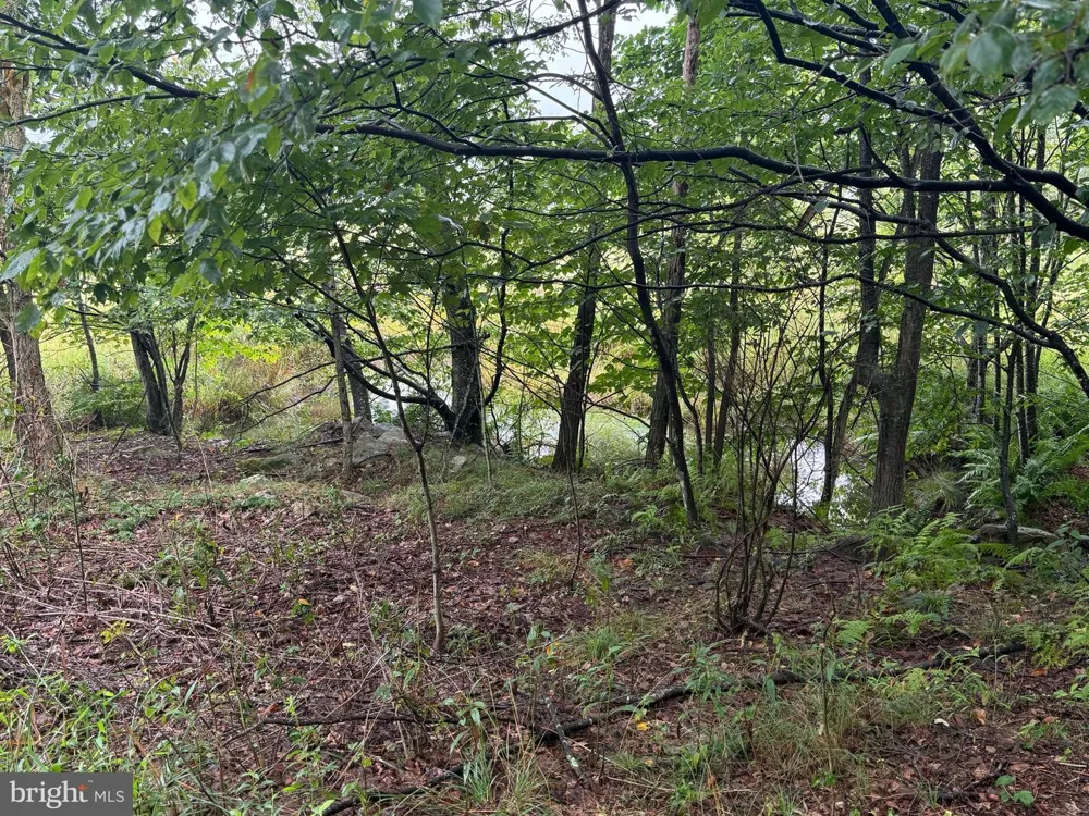 0 PINNACLE ROAD Keyser, WV 26726