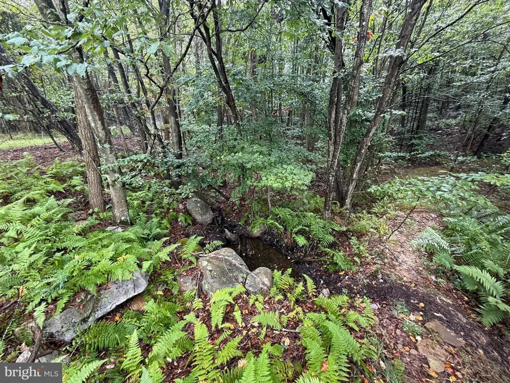 0 PINNACLE ROAD Keyser, WV 26726