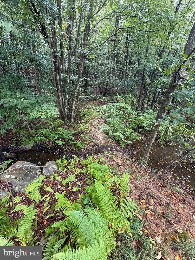 0 PINNACLE ROAD Keyser, WV 26726
