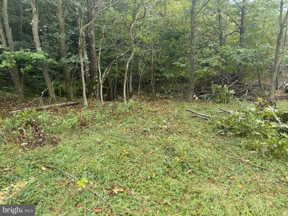 0 PINNACLE ROAD Keyser, WV 26726