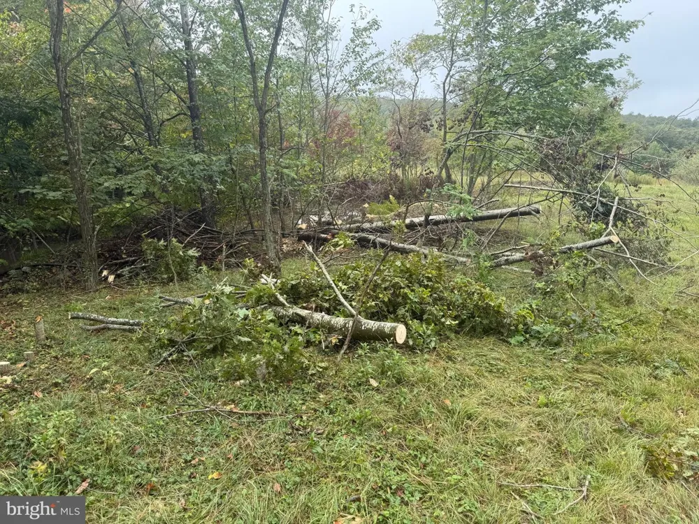 0 PINNACLE ROAD Keyser, WV 26726