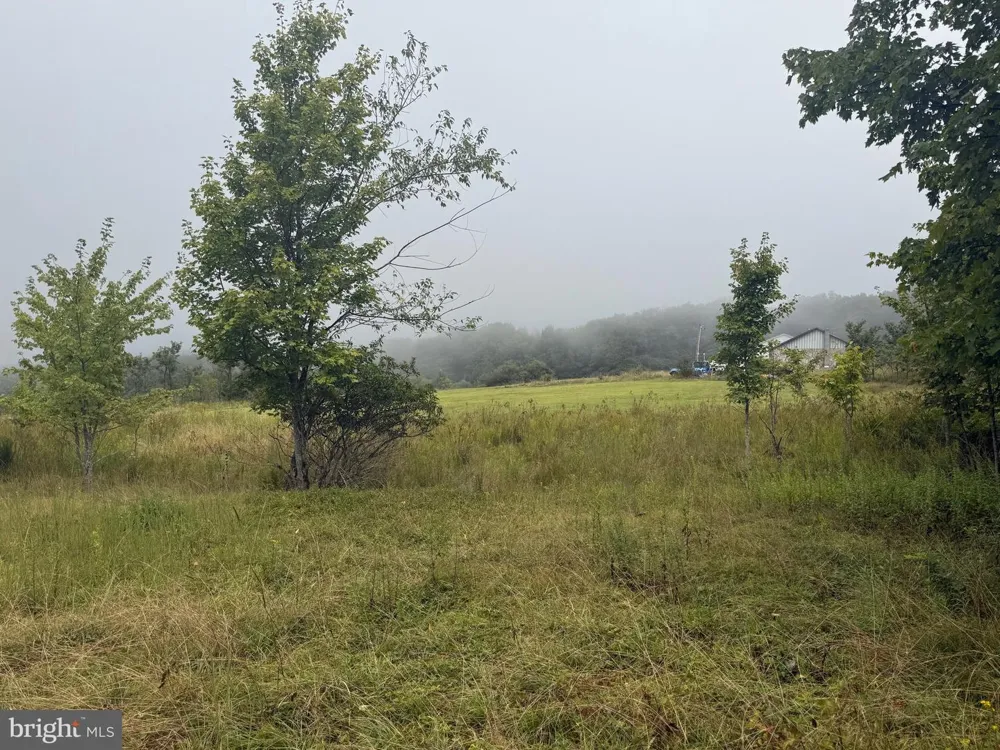 0 PINNACLE ROAD Keyser, WV 26726