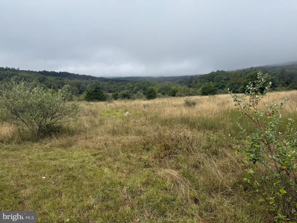 0 PINNACLE ROAD Keyser, WV 26726