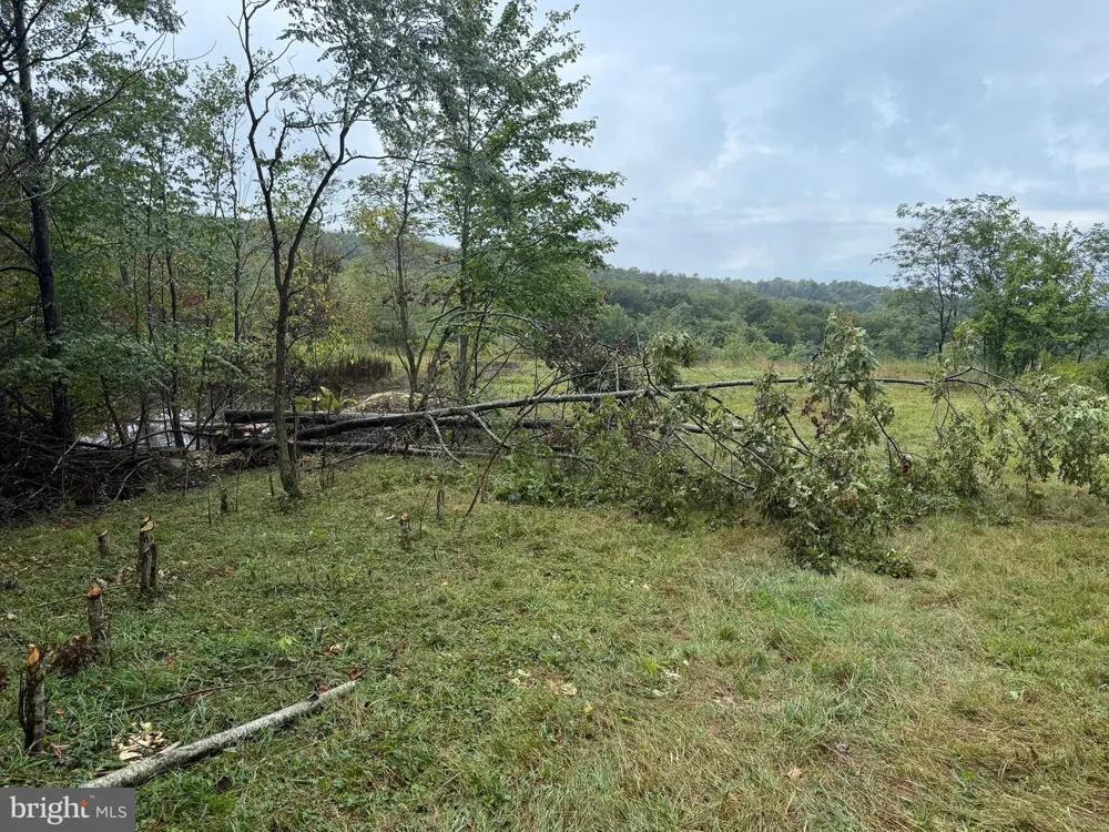 0 PINNACLE ROAD Keyser, WV 26726
