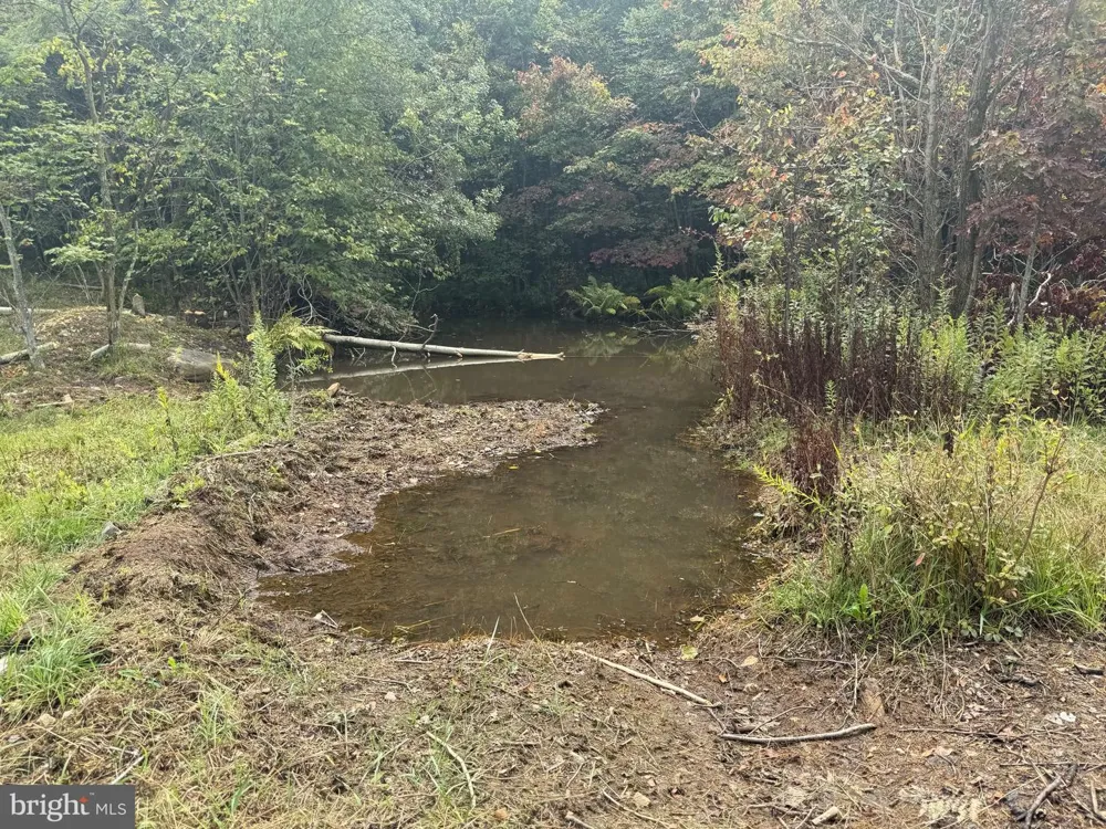 0 PINNACLE ROAD Keyser, WV 26726